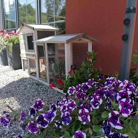 Gamtos Slenis Kaimo Turizmo Sodyba Bardinai Exterior foto
